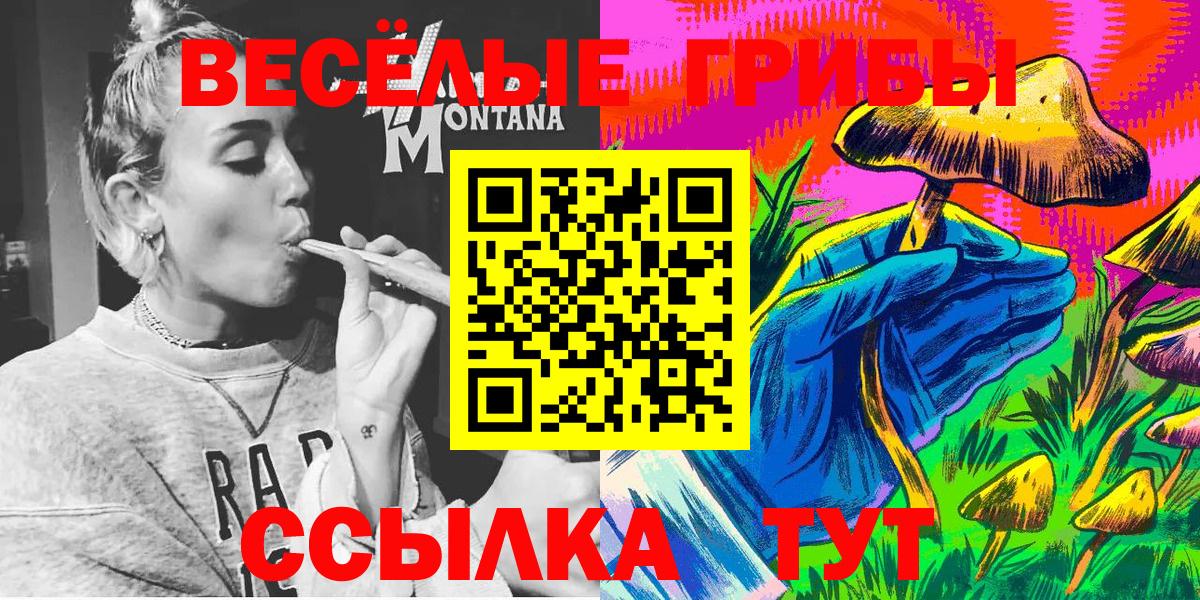 Красногорск  Галлюциногенные грибы Psilocybe  Псилоцибиновые грибы Magic Shrooms  Вход с VPN 