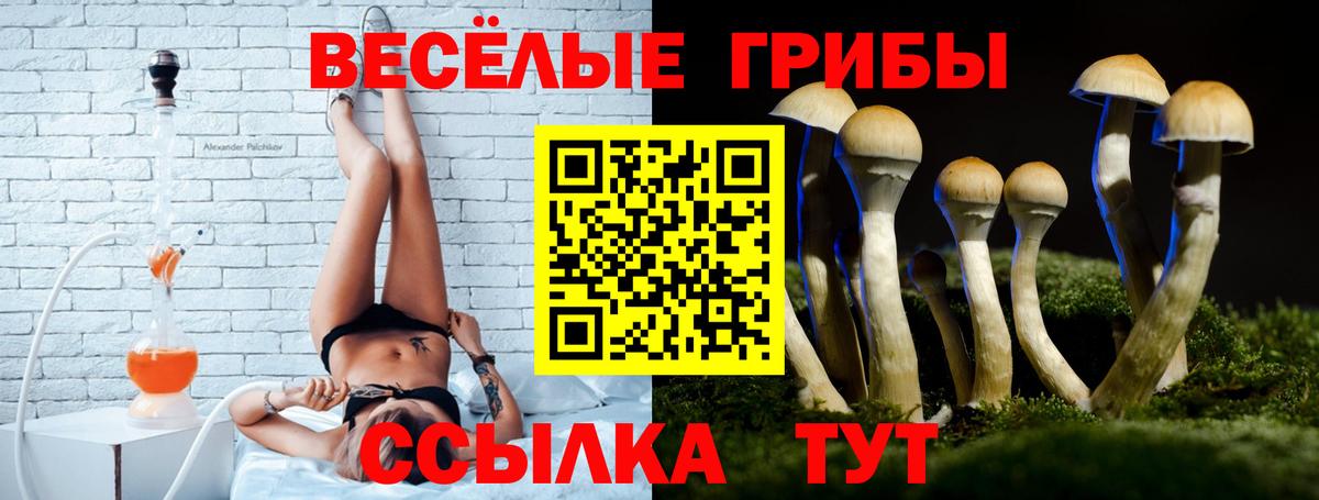 Псилоцибиновые грибы ЛСД Красногорск
